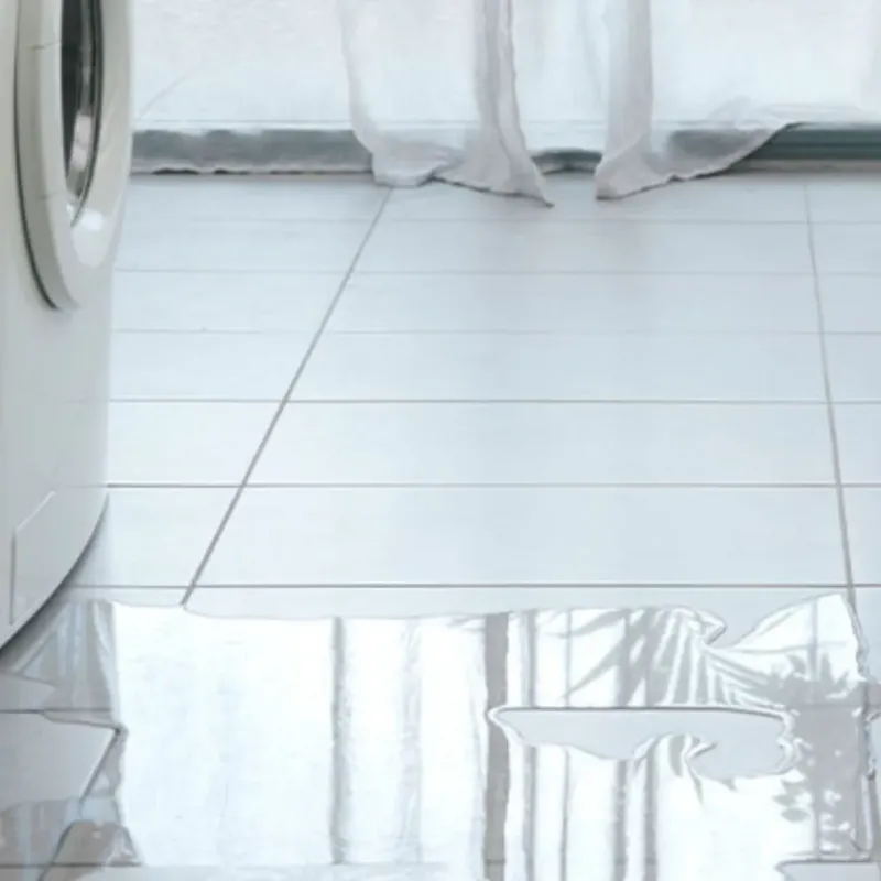 Appliance Leak Cleanup in Greenfield, IA
