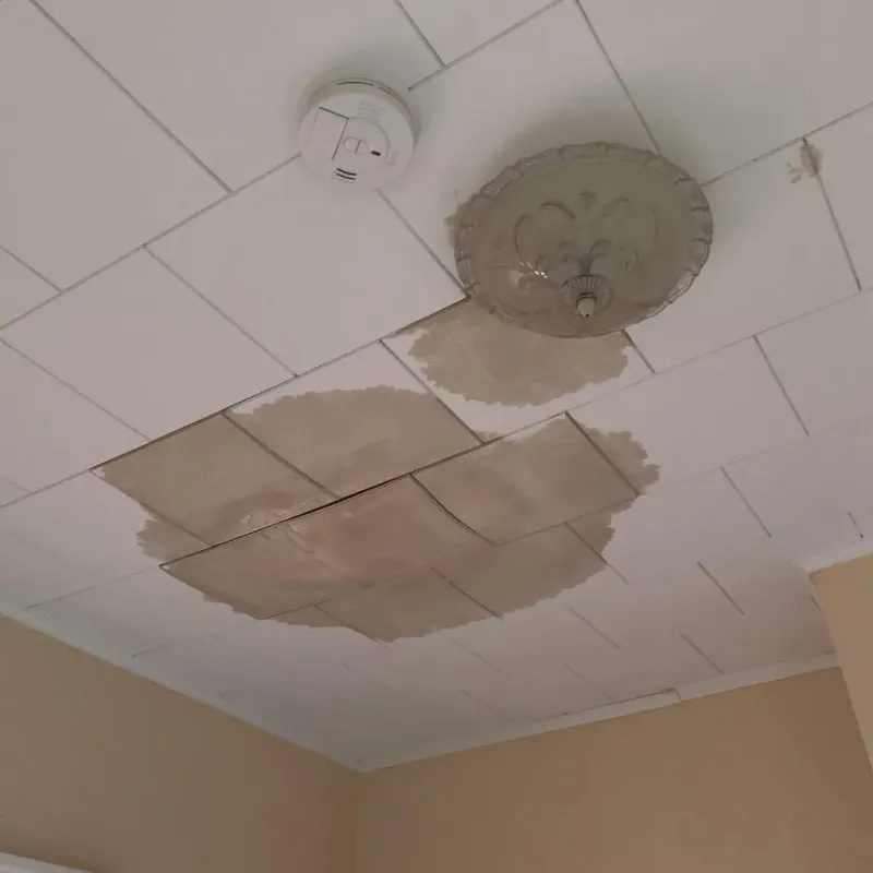 Ceiling Water Damage Repair in Greenfield, IA