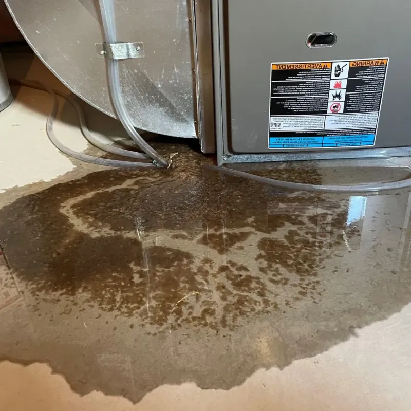 Pipe Burst and Leak Restoration in Greenfield, IA