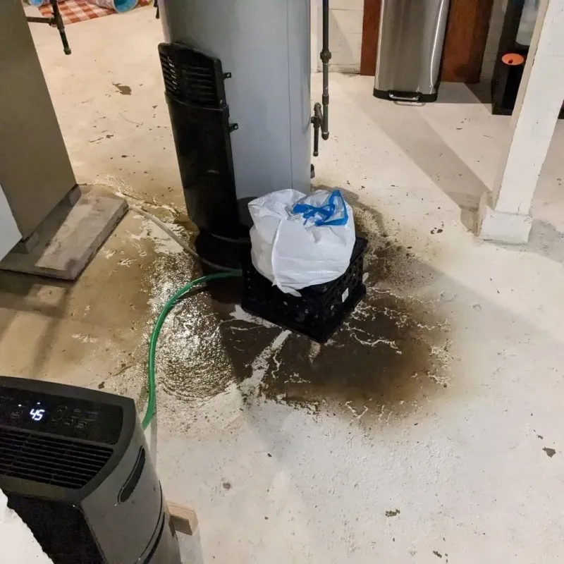 Sewage Backup Cleanup Service in Greenfield, IA